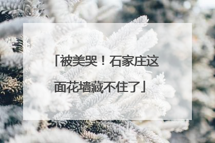 被美哭！石家庄这面花墙藏不住了