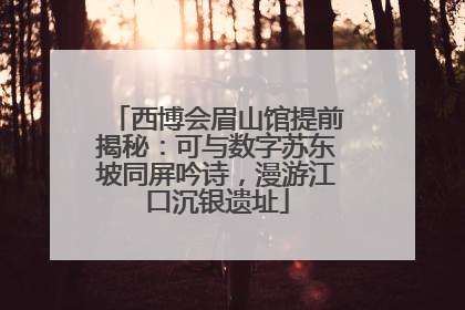 西博会眉山馆提前揭秘：可与数字苏东坡同屏吟诗，漫游江口沉银遗址