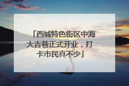 西城特色街区中海大吉巷正式开业，打卡市民真不少