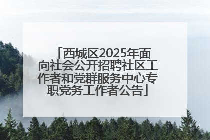 西城区2025年面向社会公开招聘社区工作者和党群服务中心专职党务工作者公告
