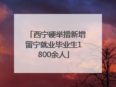 西宁硬举措新增留宁就业毕业生1800余人