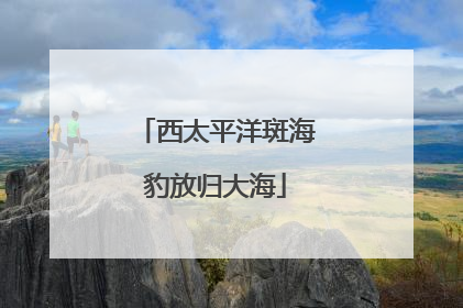 西太平洋斑海豹放归大海