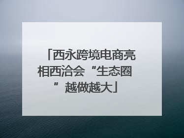 西永跨境电商亮相西洽会“生态圈”越做越大