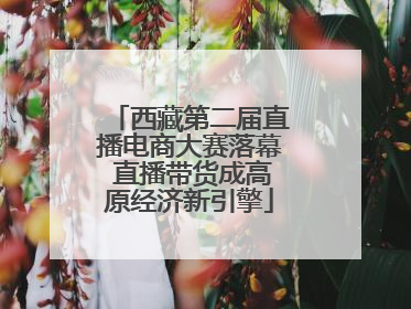 西藏第二届直播电商大赛落幕 直播带货成高原经济新引擎