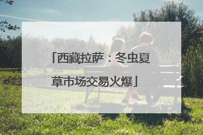 西藏拉萨：冬虫夏草市场交易火爆