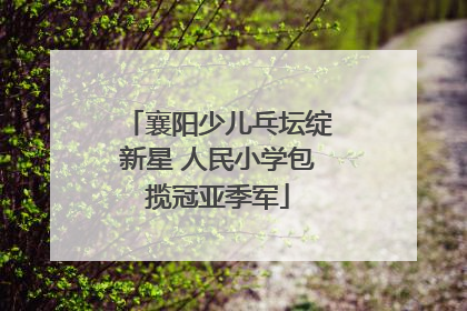 襄阳少儿乓坛绽新星 人民小学包揽冠亚季军