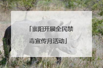 襄阳开展全民禁毒宣传月活动