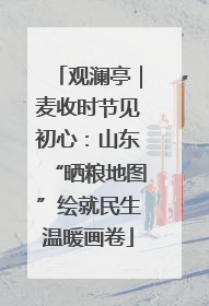 观澜亭｜麦收时节见初心：山东“晒粮地图”绘就民生温暖画卷
