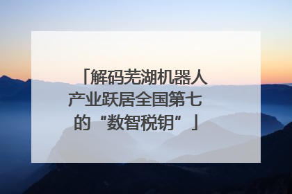 解码芜湖机器人产业跃居全国第七的“数智税钥”