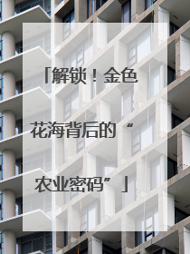 解锁！金色花海背后的“农业密码”