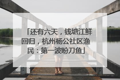 还有六天，钱塘江鲜回归，杭州杨公社区渔民：第一波盼刀鱼