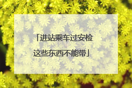 进站乘车过安检 这些东西不能带