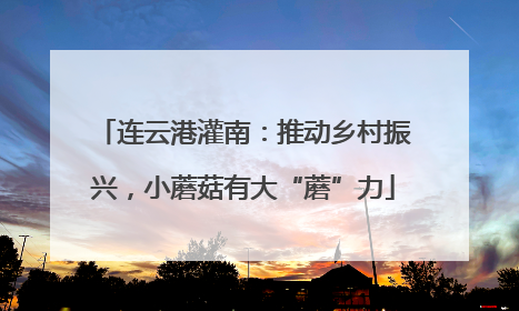连云港灌南：推动乡村振兴，小蘑菇有大“蘑”力