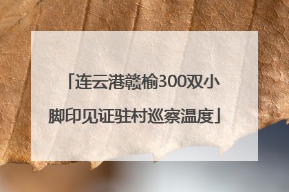 连云港赣榆300双小脚印见证驻村巡察温度