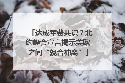 达成军费共识？北约峰会宣言揭示美欧之间“貌合神离”