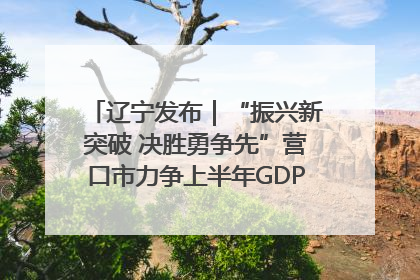 辽宁发布｜“振兴新突破 决胜勇争先”营口市力争上半年GDP增长6%左右