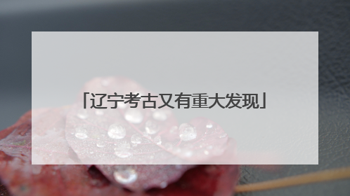 辽宁考古又有重大发现
