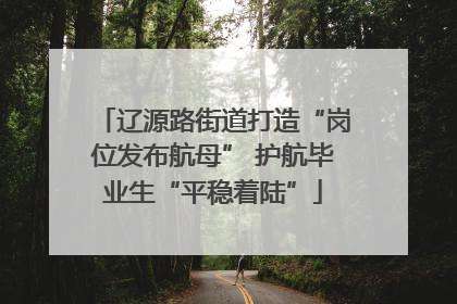 辽源路街道打造“岗位发布航母” 护航毕业生“平稳着陆”