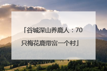 谷城深山养鹿人：70只梅花鹿带富一个村