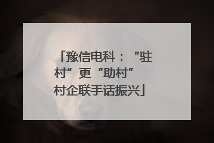 豫信电科：“驻村”更“助村” 村企联手话振兴