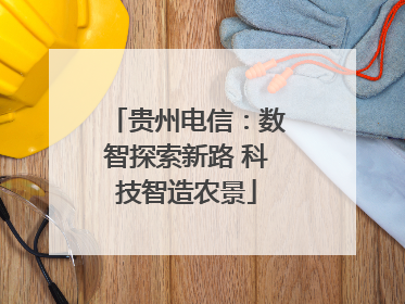 贵州电信：数智探索新路 科技智造农景