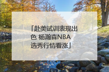 赴美试训表现出色 杨瀚森NBA选秀行情看涨