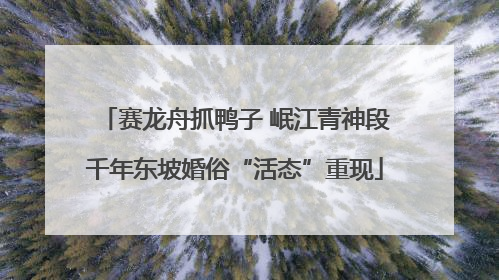 赛龙舟抓鸭子 岷江青神段千年东坡婚俗“活态”重现
