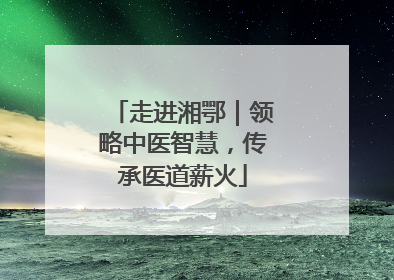 走进湘鄂｜领略中医智慧，传承医道薪火