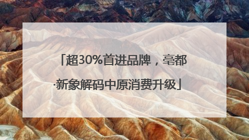 超30%首进品牌，亳都·新象解码中原消费升级