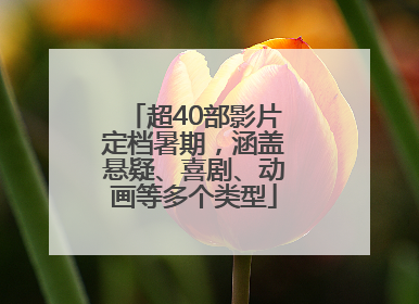 超40部影片定档暑期，涵盖悬疑、喜剧、动画等多个类型