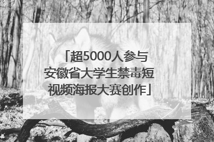 超5000人参与安徽省大学生禁毒短视频海报大赛创作