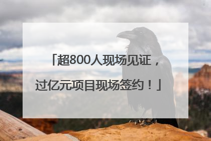 超800人现场见证，过亿元项目现场签约！
