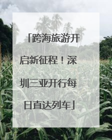 跨海旅游开启新征程！深圳三亚开行每日直达列车
