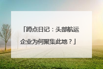 蹲点日记：头部航运企业为何聚集此地？