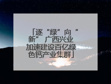 逐“绿”向“新” 广西兴业加速建设百亿绿色钙产业集群