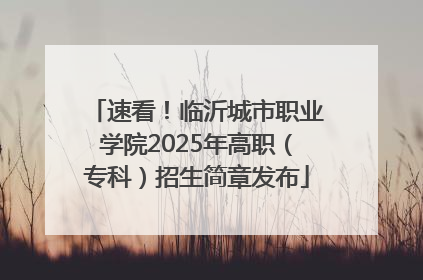 速看！临沂城市职业学院2025年高职（专科）招生简章发布