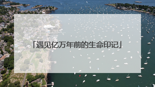 遇见亿万年前的生命印记