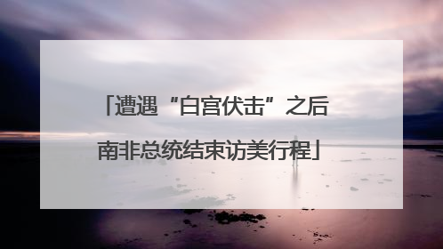 遭遇“白宫伏击”之后 南非总统结束访美行程