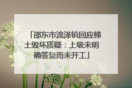 邵东市流泽镇回应梯土毁坏质疑：上级未明确答复而未开工