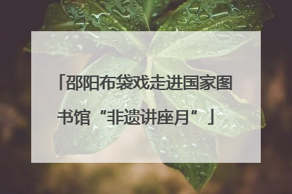 邵阳布袋戏走进国家图书馆“非遗讲座月”