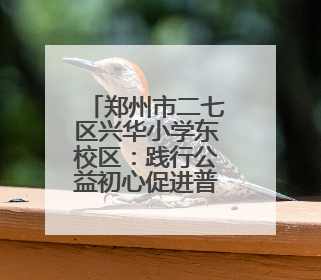 郑州市二七区兴华小学东校区：践行公益初心促进普特教育融合