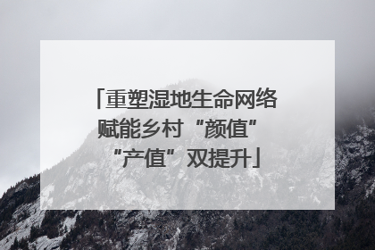 重塑湿地生命网络 赋能乡村“颜值”“产值”双提升