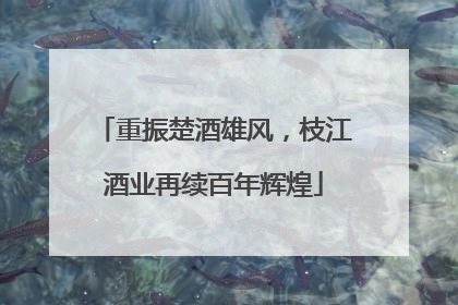 重振楚酒雄风，枝江酒业再续百年辉煌