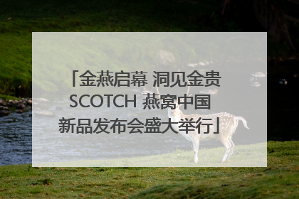 金燕启幕 洞见金贵 SCOTCH 燕窝中国新品发布会盛大举行