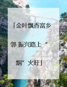 金叶飘香富乡邻 振兴路上“烟”火旺
