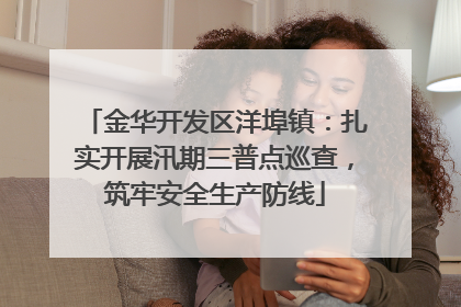 金华开发区洋埠镇：扎实开展汛期三普点巡查，筑牢安全生产防线