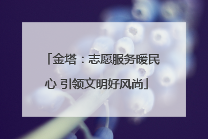 金塔：志愿服务暖民心 引领文明好风尚