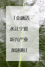 金融活水让宁夏新兴产业加速跑