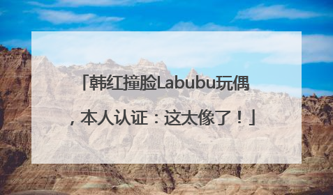 韩红撞脸Labubu玩偶，本人认证：这太像了！