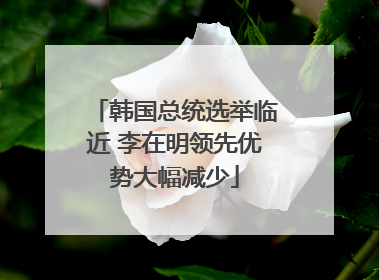 韩国总统选举临近 李在明领先优势大幅减少